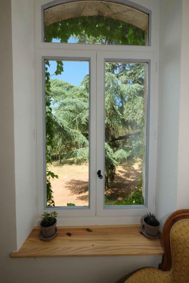 Villa Des Antiquaires Bédarieux 外观 照片